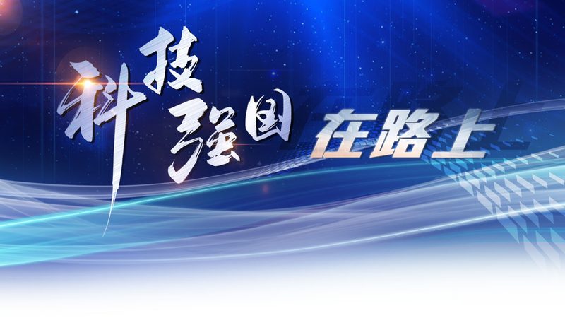 数据可视化配色方案：从设计到应用的完整步骤